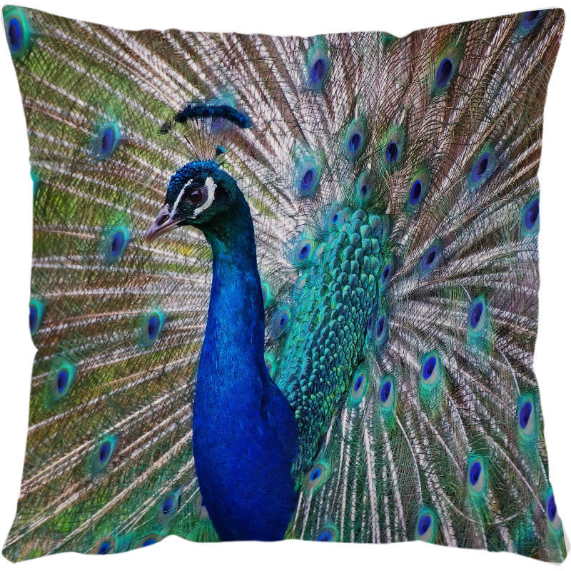 Throw Pillow